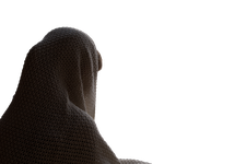Souhaite Garder L'Anonymat